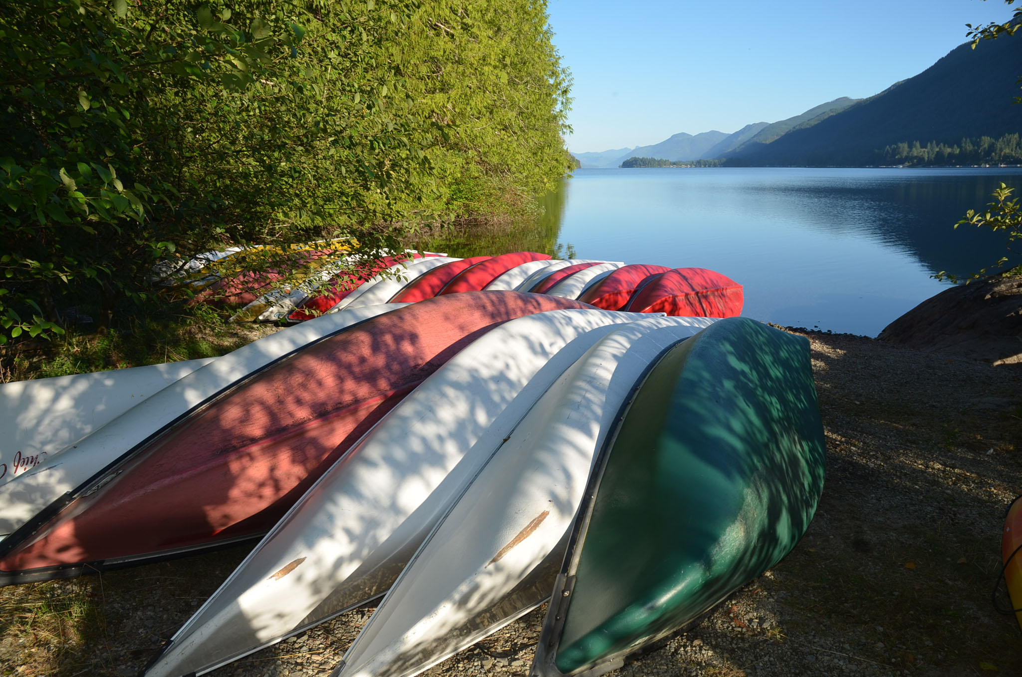 Group canoe exploration